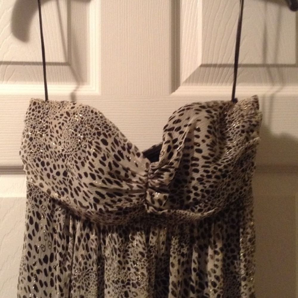 Express Dress - Picture 7 of 7